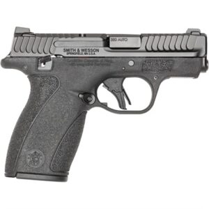 BODYGUARD 2.0 380 ACP 2.75'' BBL (2)10RD MAGS BLACK