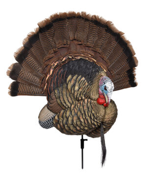 Avian X AVXAVX8021 Trophy Tom Turkey Species Multi-Color *No Fan