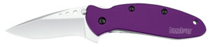 Kershaw 1620PUR Scallion  2.40" Folding Drop Point Plain Bead Blasted 420HC SS Blade Purple Anodized Aluminum Handle Includes Pocket Clip