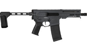 DISSENT Mk4 Pstl 300BLK 6.5"  Brace Blk 33rd