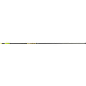 Victory RIP Elite Arrows 300 2 in. Vanes 6 pk.