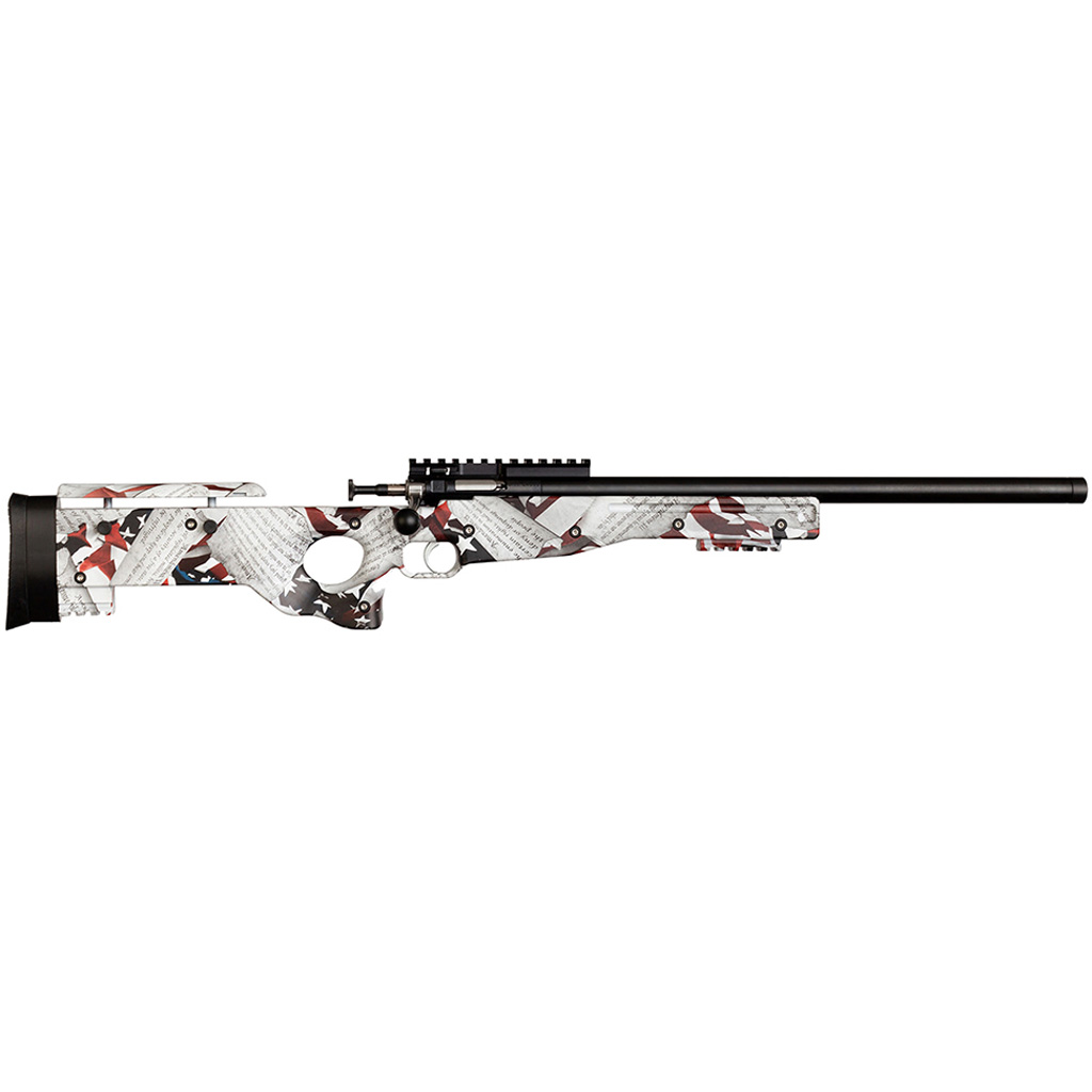 Keystone Crickett Precision Rifle 22 LR Blued/2nd Amendment Print