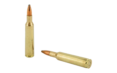 REM 6MM REM 100GR PSP CL 20/200 - Image 4