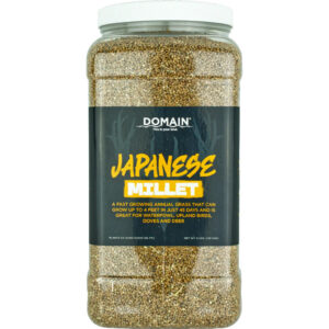 Domain Japanese Millet Seed 1/4 Acre