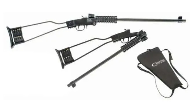 Little Badger 22lr Sgl shot